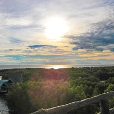 Parco nazionale di Mũi Cà Mau