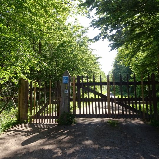 Kranichsteiner Wald mit Hegbachaue,Mörsbacher Grund und Silzwiesen
