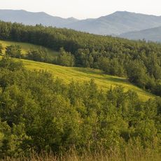 Riserva naturale regionale dei Ghirardi