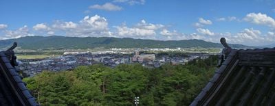 The view 2