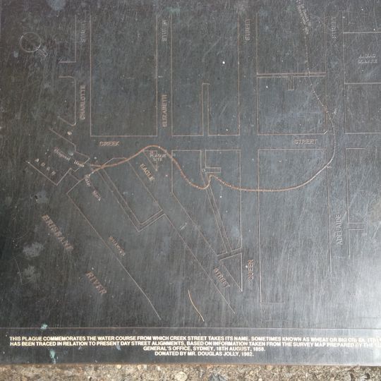 Eagle Street Fig Trees