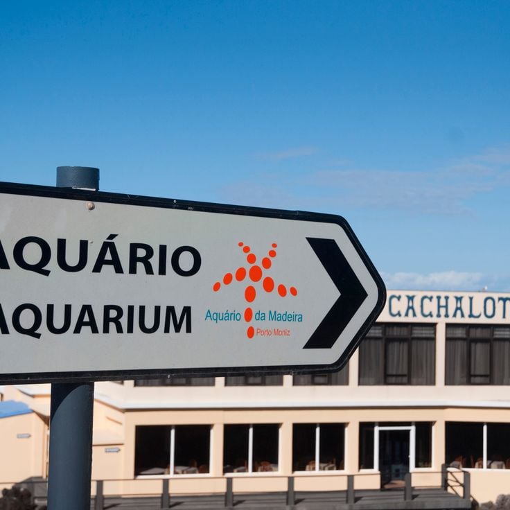 Madeira Aquarium