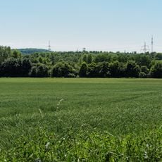 LSG-Castroper Holz - Bladenhorst