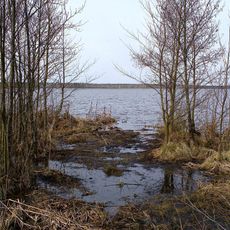Rezerwat przyrody Jezioro Pogubie Wielkie