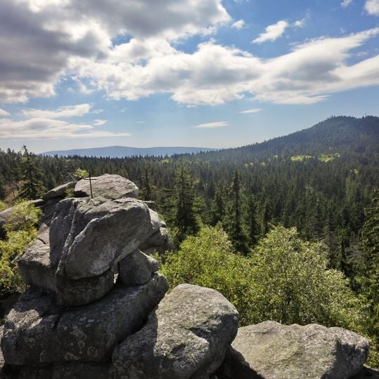 Tröstauer Forst-Ost
