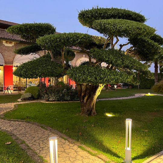 Villa Momi's