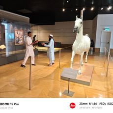 Arabian Horse Museum