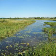 Khanka Nature Reserve