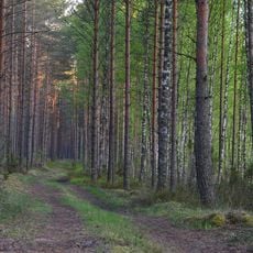 Rezerwat Krajobrazowy Mustoja