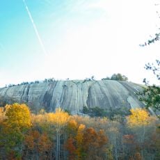 Stone Mountain