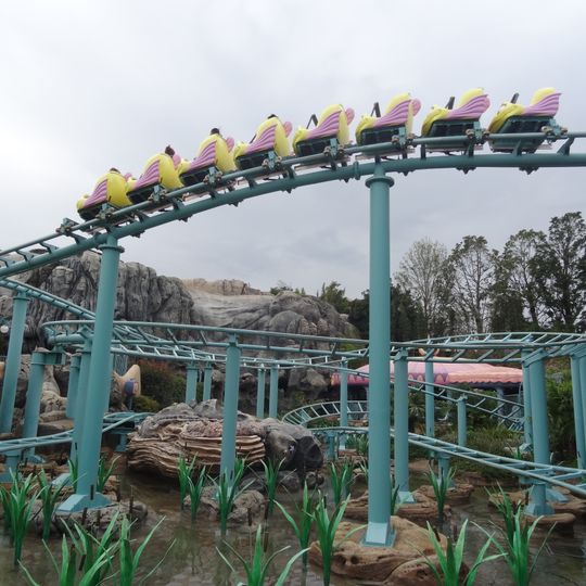 Flounder's Flying Fish Coaster