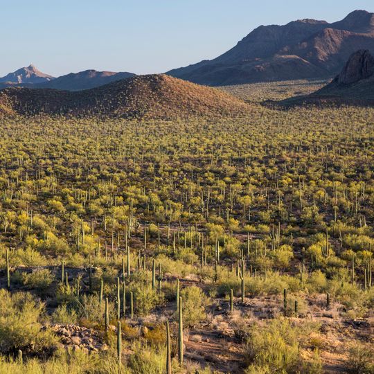 Ironwood Forest National Monument