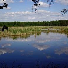Hirtlohweiher bei Schwandorf