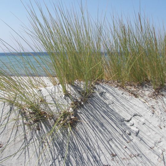 Spiaggia di Porto Botte