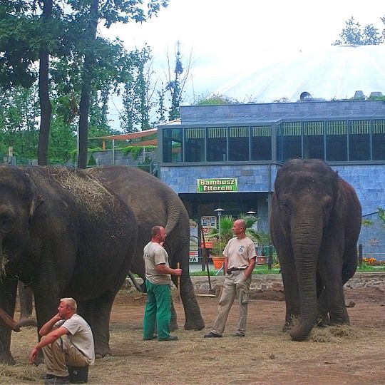 Zoo di Nyíregyháza