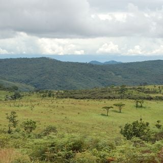 Nyika National Park