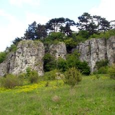 Медобори