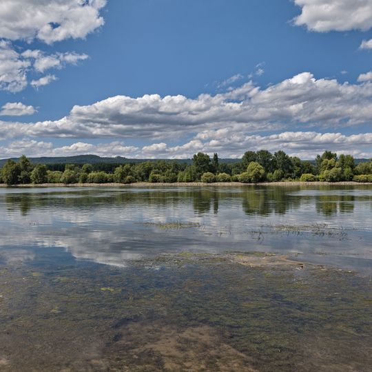 Wanderfischgebiete im Rhein