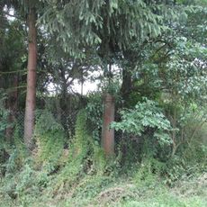 Kříž západně od Mířovic