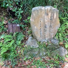 え