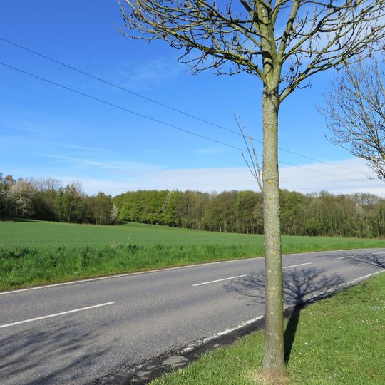 Landschaftsschutzgebiet Fleyer Wald