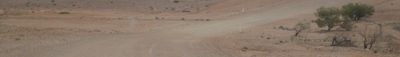 Panoramic View 0