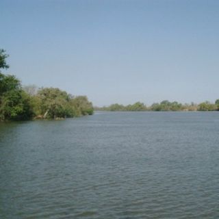 River Gambia National Park