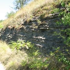 Zalishchyky bed of Lower Devonian