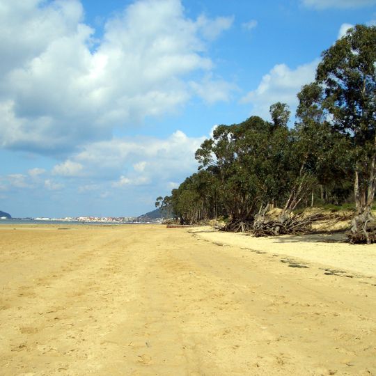 Playa del Regatón