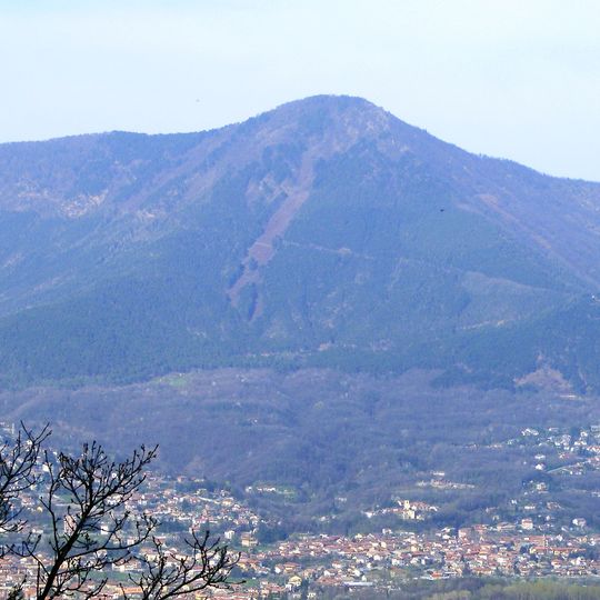 Monte Curt