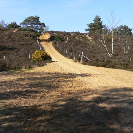 Hankley Common