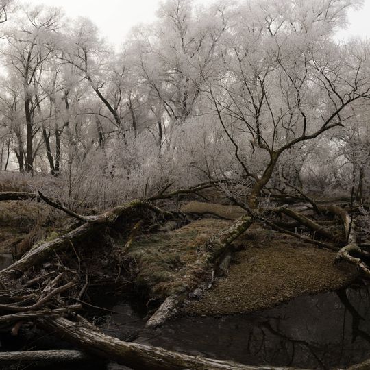 Isental und südliche Quellbäche
