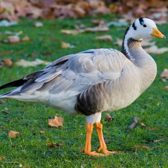 Magadi Bird Sanctuary