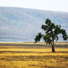 Bor Wildlife Sanctuary