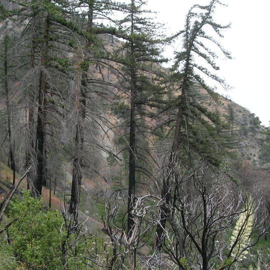 Lytle Creek