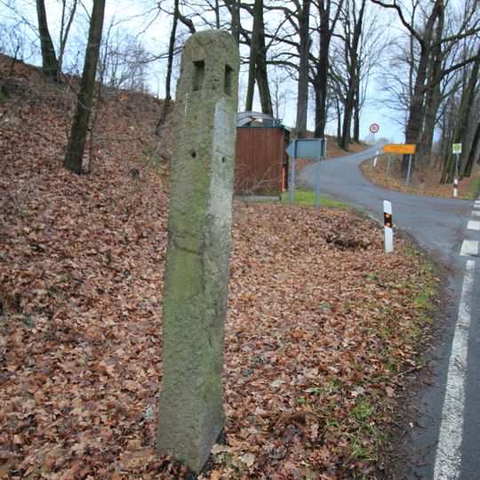 Kamjentny pućnik blisko Prawoćic