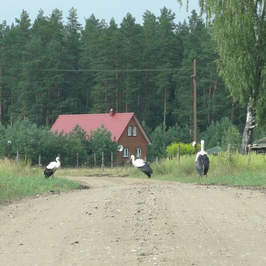 Rygol, Augustów County