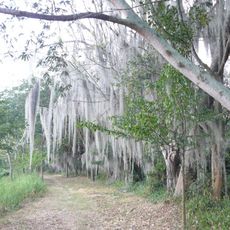 Laguna de Sonso Nature Reserve