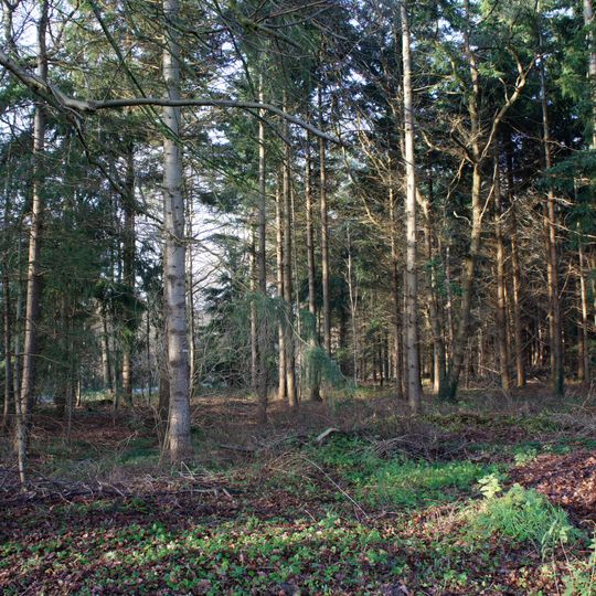 Feldmoor, Hurreler Sand, Klaushau