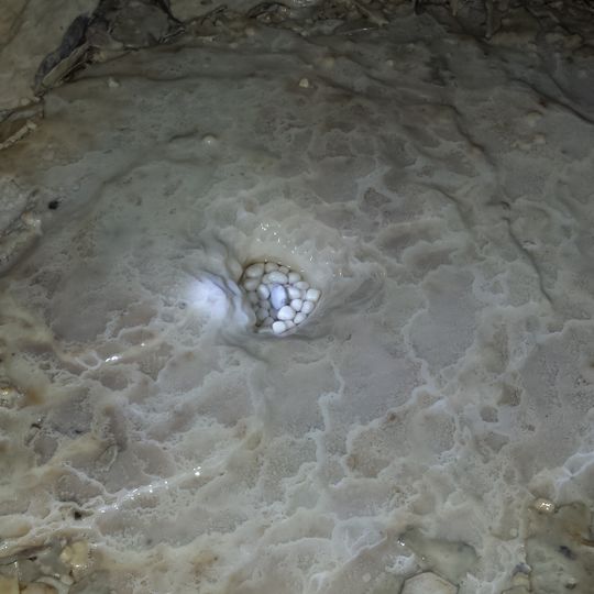 Zane Shawnee Caverns