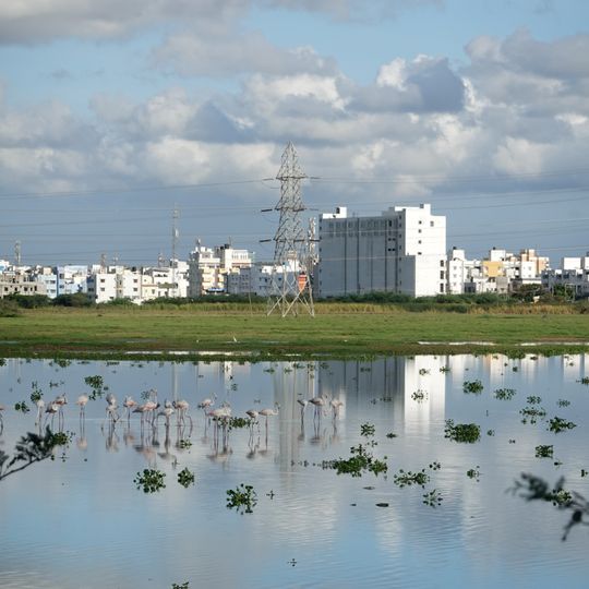 Pallikaranai Marsh