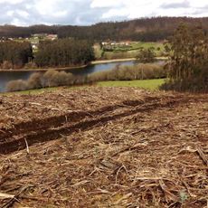 Castro de Loiravella