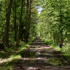 Stawki Landscape Park