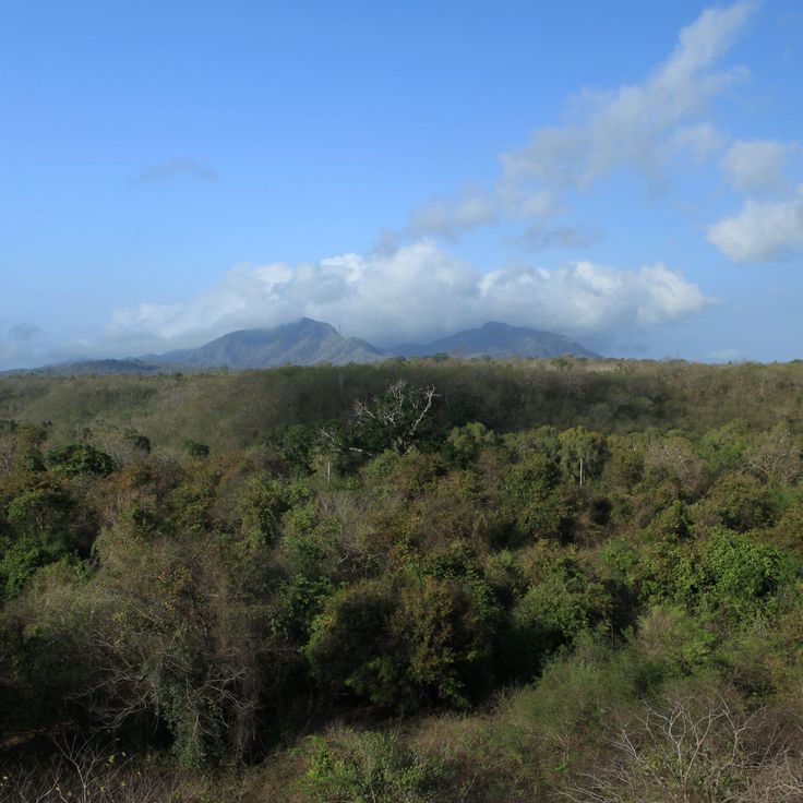 West Bali National Park