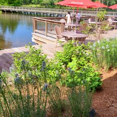 Discovery Amphitheater