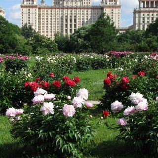 Botanical Garden of Moscow State University