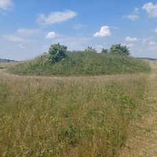 Three bowl barrows on Chalton Down, 860m east of Netherley Farm