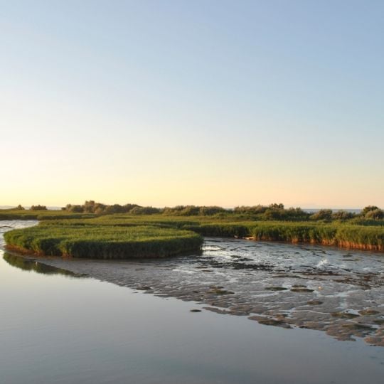 Parco regionale del Delta del Po
