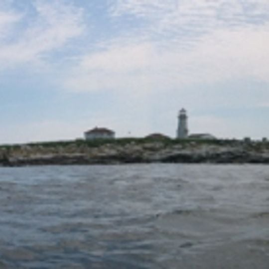 Machias Seal Island