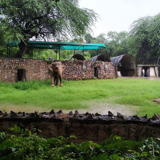 Delhi Zoo Canteen